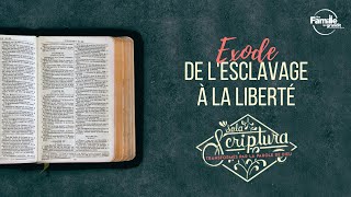 Exode : de l'esclavage à la liberté - Culte 18 Septembre 2022