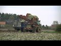 ensilage