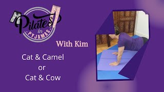 Pilates Cat & Camel