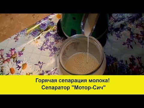 Как сделать масло из молока в сепараторе Как сделать масло из молока в сепараторе