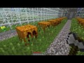 Minecraft: How to make Hedges and Green Houses Gardens