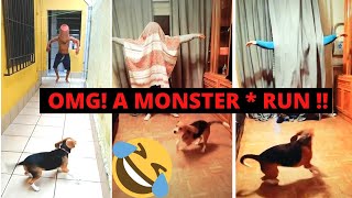 #DogScareChallenge | Funny Dog New Tik Tok Video | You CANNOT Stop Laughing 🤣🤣 | Banger Tiktok