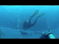 Hawaii 2012 Dolphin Dive.mp4