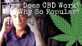 Ben Fuchs: VIDEO: How Do Cannabinoids Work? (CBD Oil)