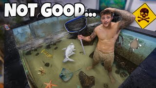 I Drained My Saler Pond And Found This