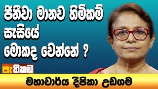 Pethikada 2025.09.09