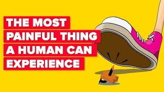 The Most Painful Things A Human Can Experience #2 The Most Painful Things A Human Can Experience #2