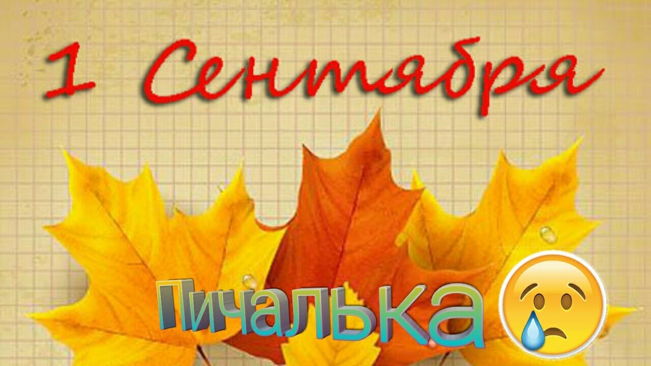 Открытки с 1 сентября: прикольные открытки на t 89 Открытки с 1 сентября: прикольные открытки на t 64