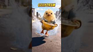 Küçük Civciv Güzel Köpeği Kurtarıyor