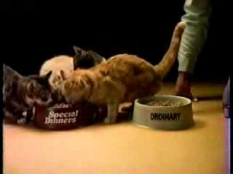 Special Dinners Cat Food Commercial Special Dinners Cat Food Commercial