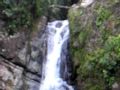 Puerto+Rico+-+El+Yunque+Rain+Forest