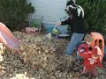 playin in a big pile of leaves 5