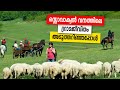 Sancharam | By Santhosh George Kulangara | Slovakia -05 | Safari TV