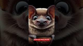 Creepiest Hammer-Headed Bat Facts