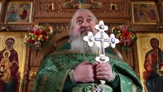 Проповедь в праздник Пятидесятницы, о. Димитрий Арзуманов, 16.06.2019