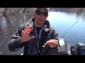 Green Bay Walleye Fishing 2013