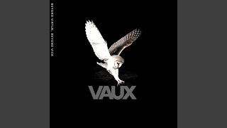 Watch Vaux Need To Get By video