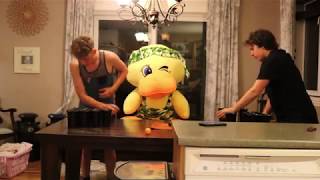 Game Of Pong Loser Meets Pool..