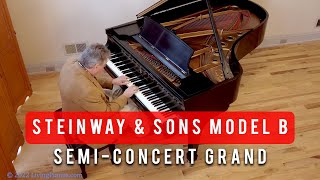 Steinway Model B Piano For Sale - Living Pianos Performance Collection