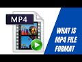 What is MP4 File Format