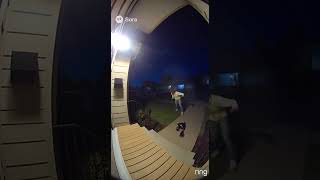 That Skunk Had A Vendetta Against Billy
