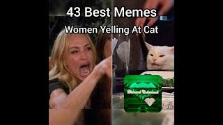 43 Of The Best Woman Yelling At Cat Memes