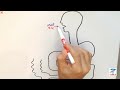 Vitamin B12 Absorption & Digestion (MADE SIMPLE) USMLE step1