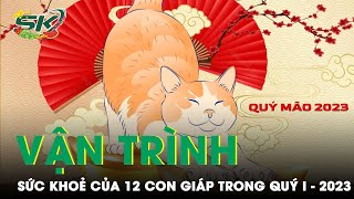 Vận Trình Sức Khỏe 12 Con Giáp Trong Quý 1 Năm Quý Mão 2023 Skđs