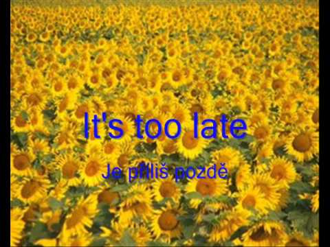 All Fall Down Lyric Meaning - OneRepublic.