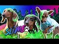 HACEMOS 100 LITROS DE SLIME | LOS POLINESIOS