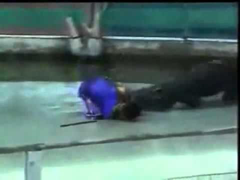 thằng ngu nhất thế giới Clip top 5 thang ngu nhat the gioi