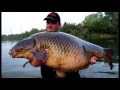 Видео Самая большая в мире пойманная Рыба # Белуга осётр 1490 кг