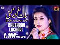 Raat Guzar Gai | Khushboo Laghari (Official Video) | Thar Production
