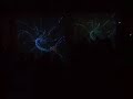 iLL+Katsui 070223