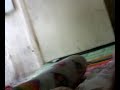 Angelina Asinas Haha images Angelina Asinas Haha