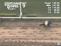 Horse racing oddity: horse running in the wrong direction