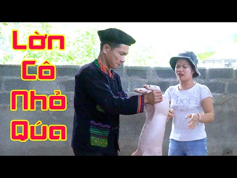 Đi Bắt Lợn Con Gặp Cô Chủ Kêu Như Bò Gống - Phim Hài 2021 A Hy Mới Hay Nhất Cười Vỡ Mồm