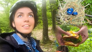 Morning sandwich in the forest. Solo bike ride and camping