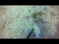 scuba diving