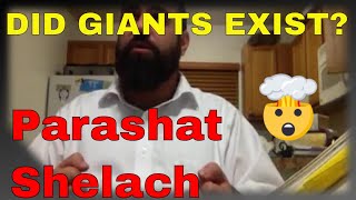 Shiur Torah #31 Parashat Shelach, Giant People, Giant Lies, Giant Punishments Throughout History