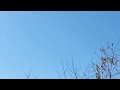 Вторжение Бронетехники РФ возле Красного Луча/Armored invasion of Russia near the Krasniy Luch