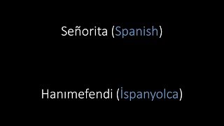 Señorita || Renkli Türkçe Çeviri (Shawn Mendes, Camila Cabello)