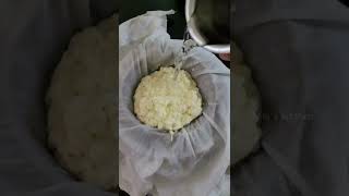 How To Make Paneer At Homehealthy Homemade Paneernikis Kitchen