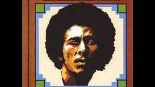 Watch Bob Marley All In One video