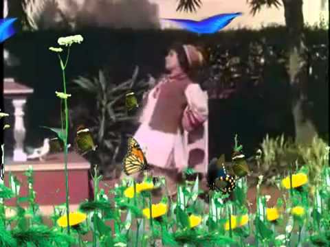 pankh hote to ud aati re.mp4