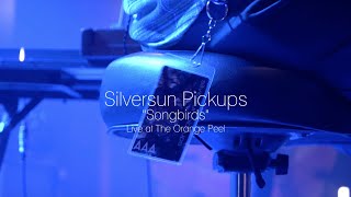 Silversun Pickups - Songbirds
