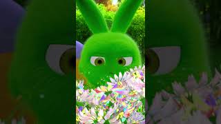Солнечные Зайчики Shorts - Радужные Цветы Сезон 1 Мультики Для Детей
