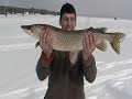 Giant Northern Pike Fishing