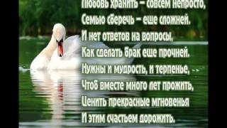 Берегите друг друга открытка 66