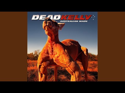 Fuckin Up On The Piss Video